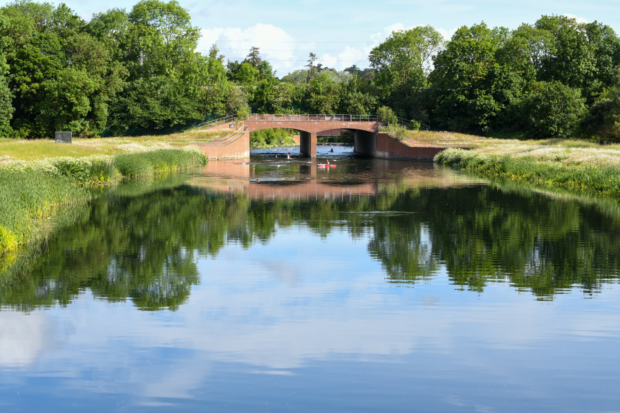 48032465882_3076641275_k